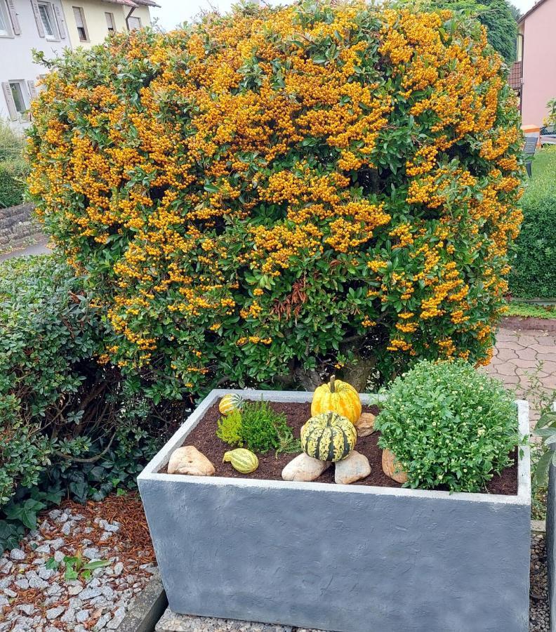 Ferienwohnung "Auszeit" Hofheim in Unterfranken Exterior photo